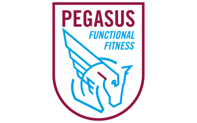 Partner Pegasus